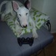 Drake juega a la PS3